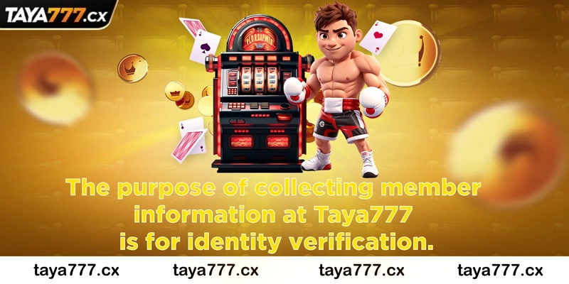 The purpose of collecting member information at Taya777 is for identity verification.