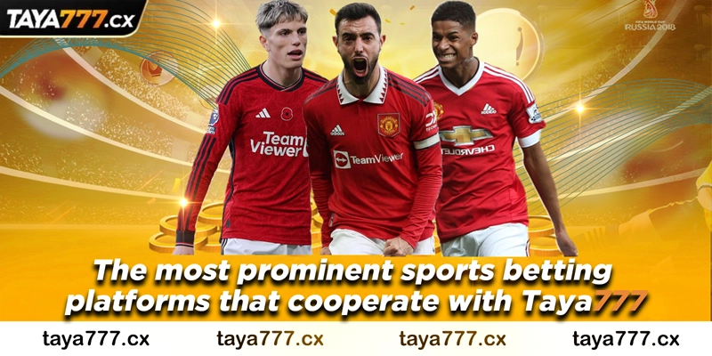 The most prominent sports betting platforms that cooperate with Taya777