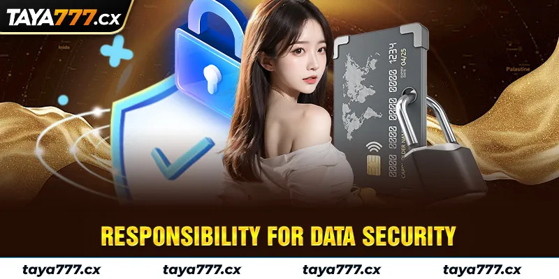 Responsibility for data security