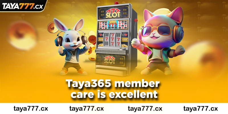 Taya365 member care is excellent