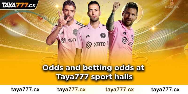Odds and betting odds at Taya777 sport halls