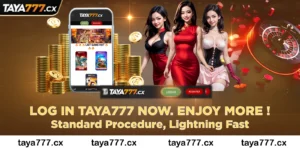 Taya777 Login: Standard Procedure, Lightning Fast