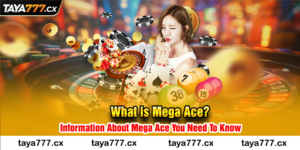 What is Mega Ace? Information About Mega Ace You Need To Know
